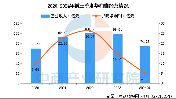 2025年中国晶圆代工行业市场前景预测研究报告(图14)